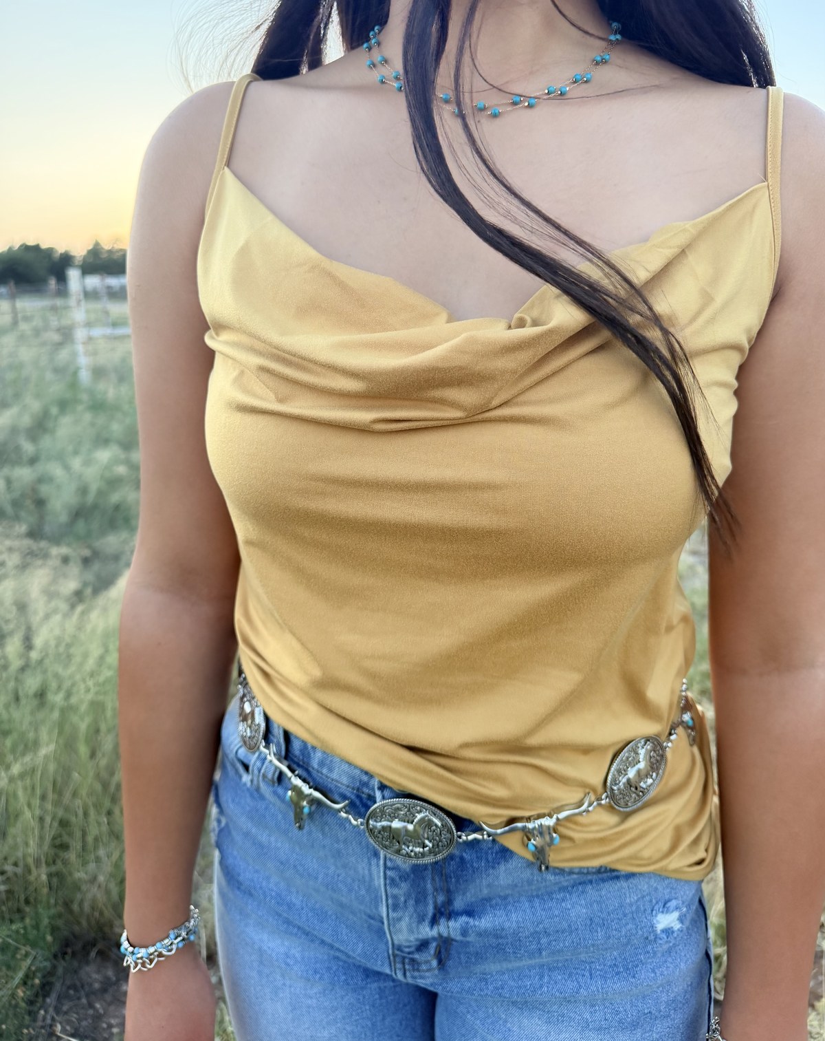 Metal steer head and horse chain belt